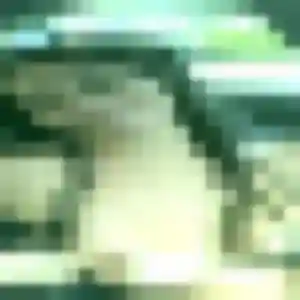 plan cul à Le Thor : profil de Kawtar, 27 ans - inscription gratuite