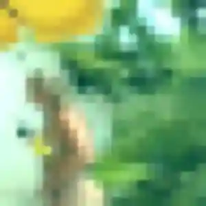 Nicole, 21 ans, dispo pour plan cul à Le Thor