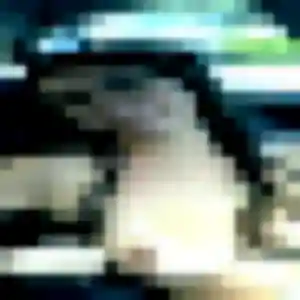 Photo de Clementine à Le Vauclin (37 ans) - plan cul discret