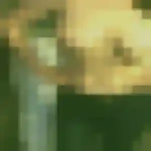 plan cul à Leers : photo de Gilberte, 22 ans - sans engagement