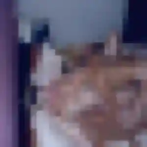 Helena (37 ans) à Léognan cherche un plan cul rapidement