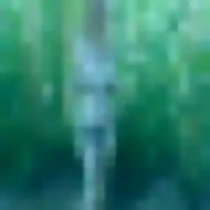 Profil de Amira à Les Abrets en Dauphiné (19 ans) - plan cul anonyme