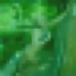 Photo exclusive de Leana, 37 ans à Les Clayes-sous-Bois - rencontre sans lendemain