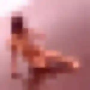 Clemence, 29 ans, en ligne à Les Trois-Bassins pour une rencontre coquine