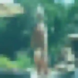 Belle Lou-Anne, 42 ans à Les Ulis - voir sa photo