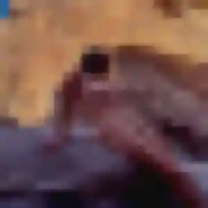 Fabienne (45 ans) à Lesneven attend une rencontre rapidement