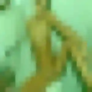 Anne-Charlotte, 38 ans, en ligne à Lesparre-Médoc pour un plan cul