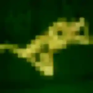 Rejoins Anouk, 44 ans à Levens gratuitement