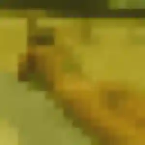 Eliane, 26 ans, connectée à Levens pour un plan cul