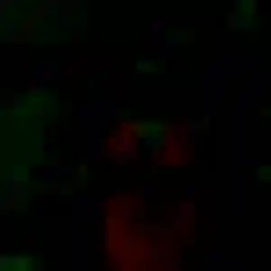 Contacte Vera, 29 ans à Lezoux gratuitement