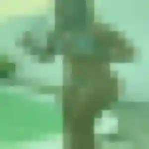 Profil de Alicia à Lieusaint (26 ans) - plan cul discret