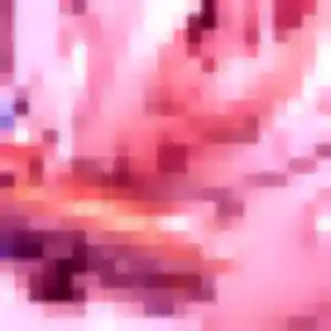 plan cul à Liévin : profil de Celine, 33 ans - accès libre