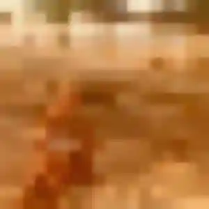 Photo perso de Phoebe, 43 ans à Lillers - plan discret