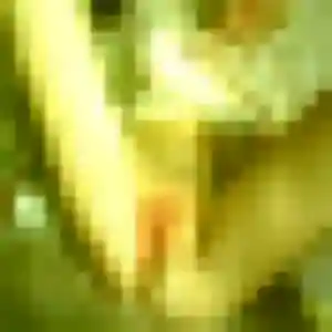 Photo perso de Alix, 29 ans à Limeil-Brévannes - plan discret