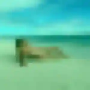 Ameline, 37 ans, disponible à Locmaria-Plouzané pour une rencontre coquine