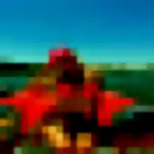 Flavia, femme de 31 ans veut plan cul à Locmaria-Plouzané