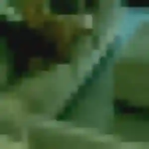 Photo perso de Armelle, 35 ans à Loireauxence - plan discret