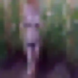 Delice, 26 ans, en ligne à Longjumeau pour une rencontre coquine