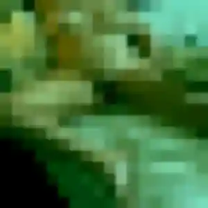 Marie-Jose de Loos-en-Gohelle, 41 ans - plan cul sans lendemain