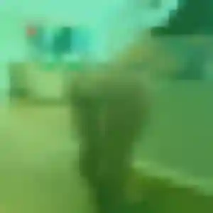 Albertine (33 ans) à Lorient cherche une rencontre maintenant