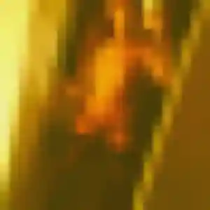 Rejoins Delphine, 42 ans à Loriol-sur-Drôme en privé