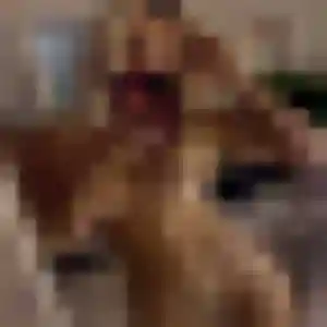 Rencontre Lamia, 27 ans à Lure gratuitement