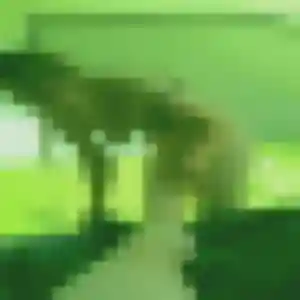 Jolie Agnes, 20 ans à Lutterbach - la contacter