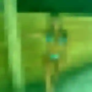 Contacte Clara, 29 ans à Luxeuil-les-Bains en t'inscrivant