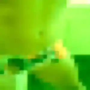 plan cul à Lys-lez-Lannoy : photo de Ines, 43 ans - inscription gratuite