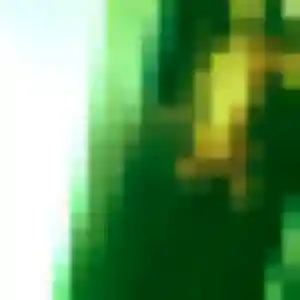 Photo de Romina à Lys-lez-Lannoy (32 ans) - plan cul discret