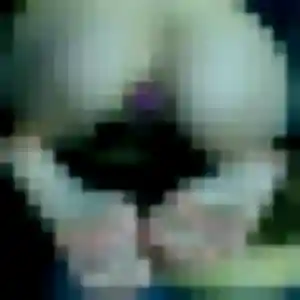 plan cul à M'Tsangamouji : photo de Rym, 43 ans - accès libre