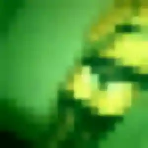 Photo de Helene à Machecoul-Saint-Même (36 ans) - plan cul discret