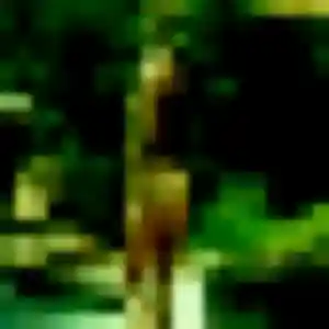 Uranie, femme de 31 ans propose plan cul à Machecoul-Saint-Même