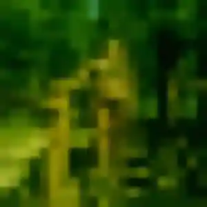 Celine de Magny-le-Hongre, 26 ans - plan cul sans lendemain