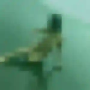 Zineb, 19 ans, dispo pour plan cul à Mainvilliers