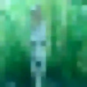 Olivia, 28 ans, en ligne à Maizières-lès-Metz pour un plan cul