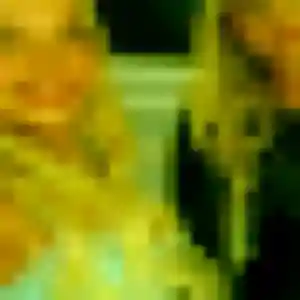 Perrine, 34 ans, disponible à Malaunay pour un plan cul