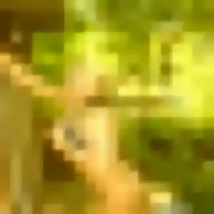 Celia (34 ans) à Malzéville attend un plan cul ce soir