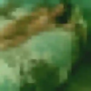 Jolie Berenice, 43 ans à Manduel - voir sa photo