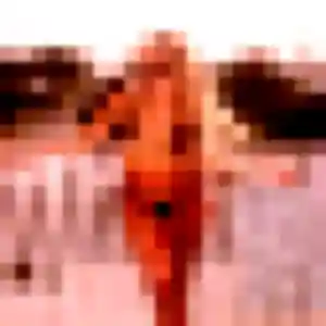 Photo de Lea à Marennes-Hiers-Brouage (33 ans) - plan cul gratuit