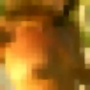 Profil de Camille à Marmande (38 ans) - plan cul anonyme