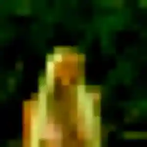 Jolie Djamila, 44 ans à Maromme - la contacter