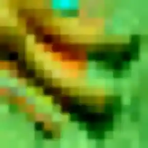 Wanda (35 ans) à Marquise propose un plan cul aujourd'hui