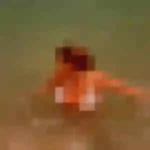 Dorothee, 19 ans, connectée à Marsillargues pour une rencontre coquine