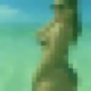 Contacte Zina, 39 ans à Marsillargues en privé