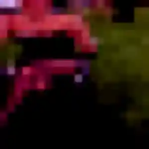 Photo de Roxane à Martignas-sur-Jalle (20 ans) - plan cul anonyme