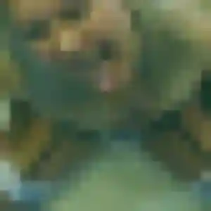 Constance, 20 ans, connectée à Maule pour une rencontre coquine