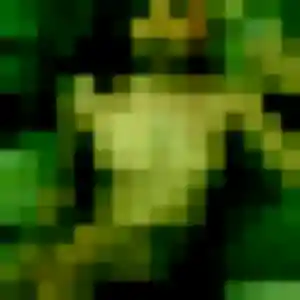 Fatima de Menton, 33 ans - plan cul discret