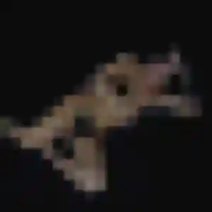 Découvre Yvette, 29 ans à Mer en privé