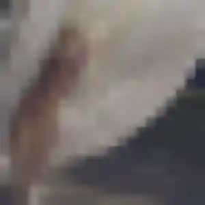 Harmony, 30 ans, dispo pour plan cul à Mérignac